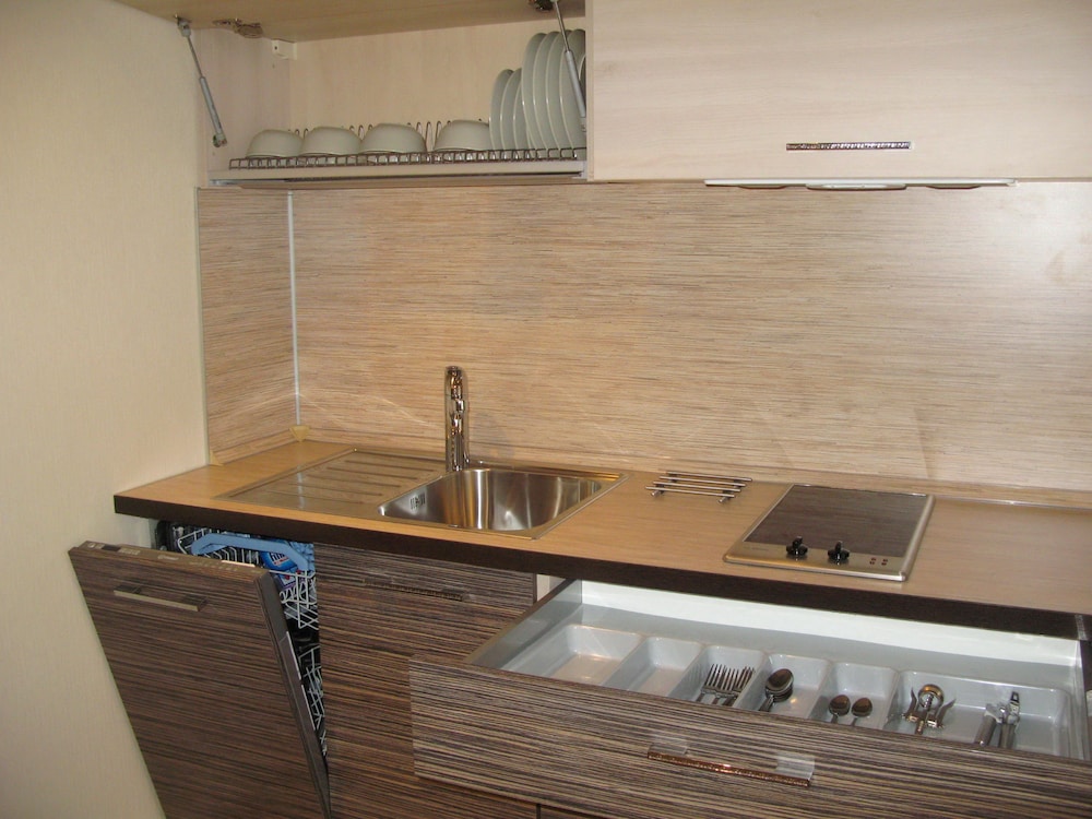 Apartment, 1 Bedroom, Kitchen, Neva river view