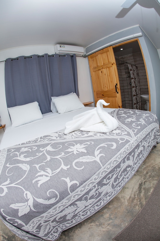 Junior Suite King Bed and Sofa Bed photo 3