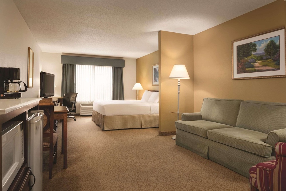 Studio Suite, 1 King Bed with Sofa bed, Non Smoking