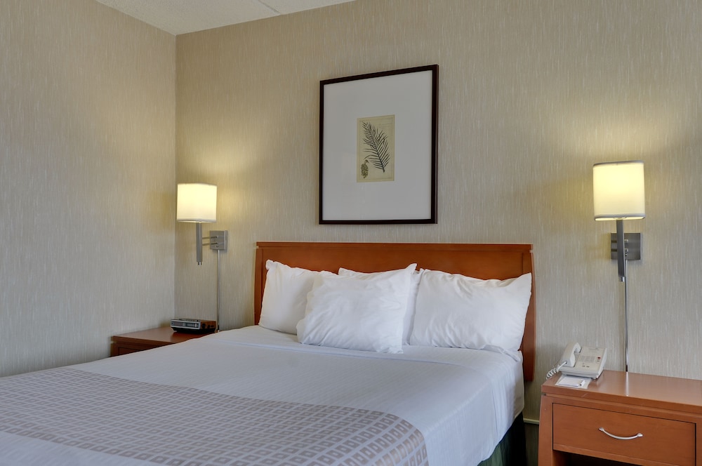 Standard Room, 1 King Bed photo 3