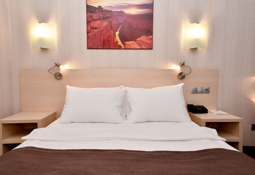 Business Double Room photo 3