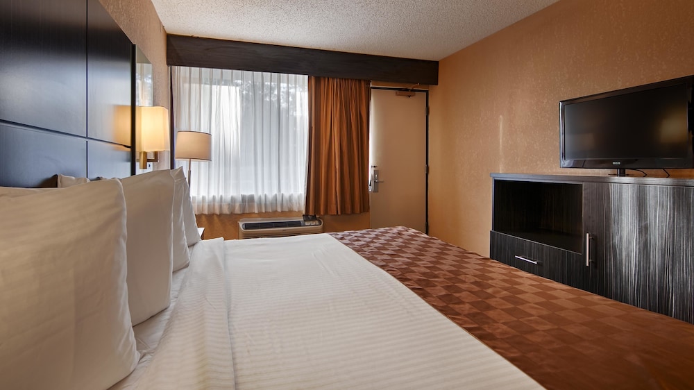 Standard Room, 1 King Bed, Smoking, Jetted Tub - Photo 1