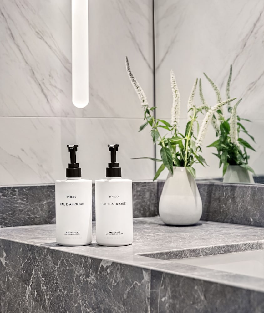 1 King Classic Opera House View