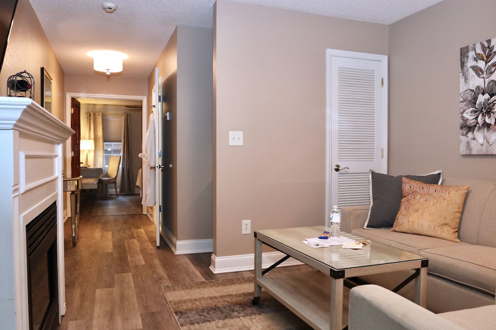 Suite, 1 King Bed with Sofa bed