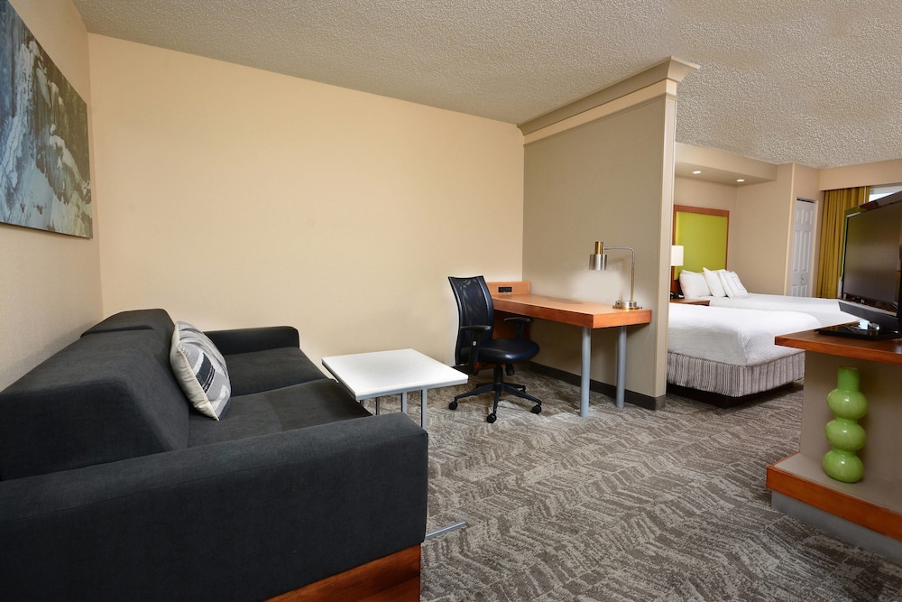 SpringHill Suites by Marriott Lynchburg Airport/University Area, Foto 7