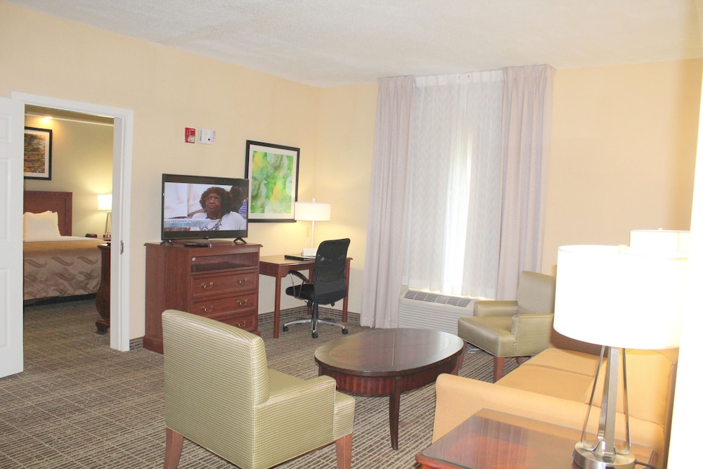 Suite, 1 King Bed With Sofa Bed, Accessible, Smoking