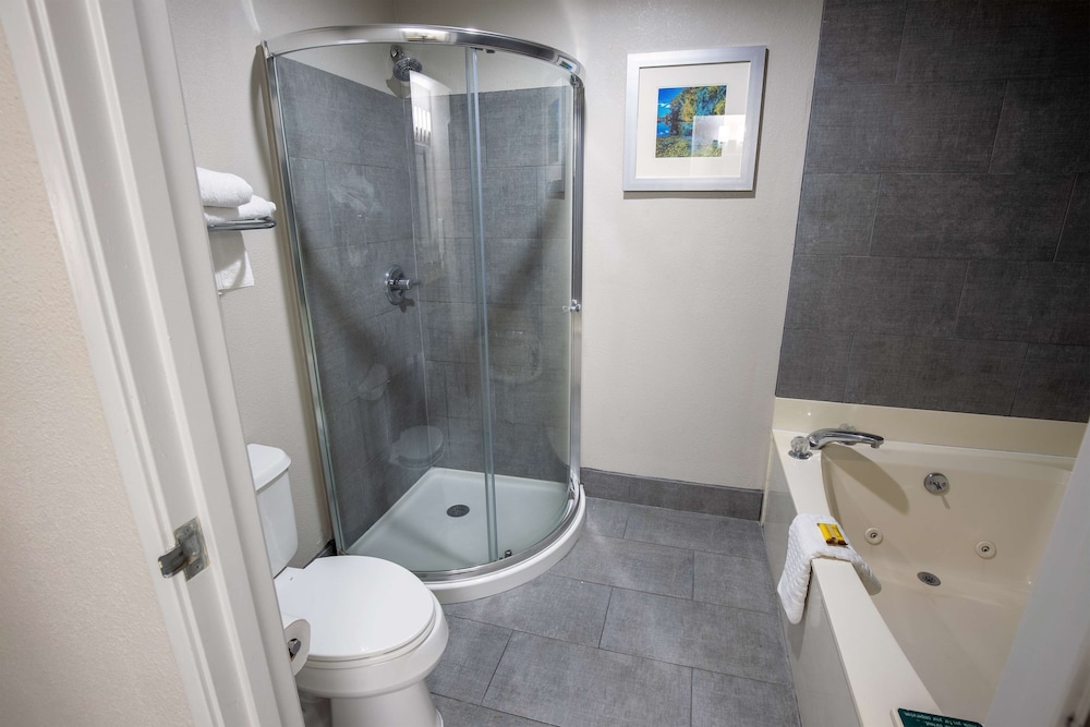 Suite, 1 King Bed, Non Smoking, Jetted Tub - Photo 9