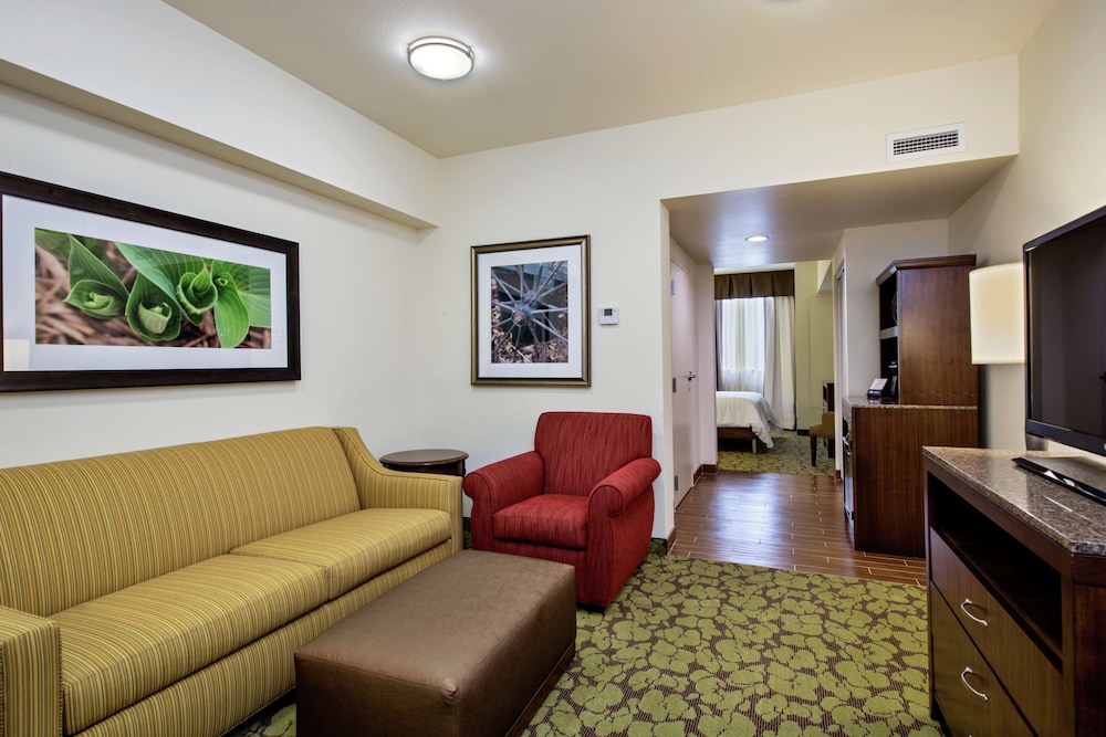 Suite, 1 King Bed, Non Smoking photo 2