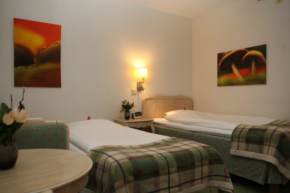 Economy Single Room (Single room with extra bed) photo 1