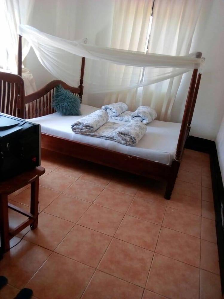 Twin Room photo 1