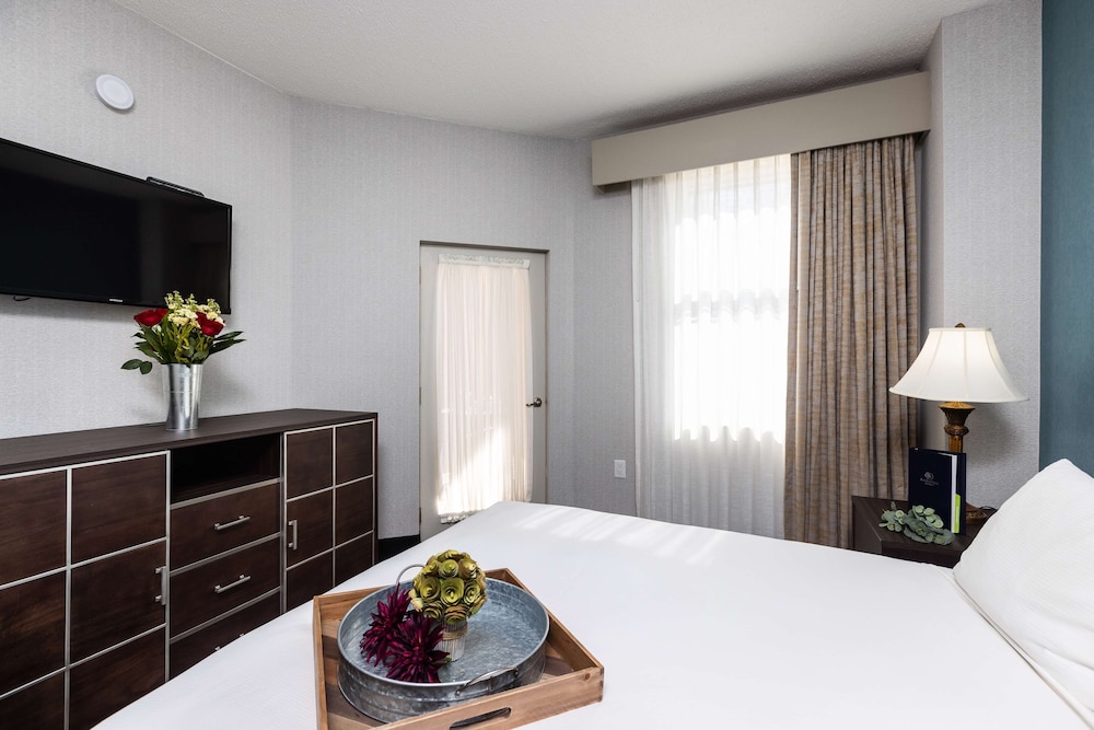 King Suite - Photo 6
