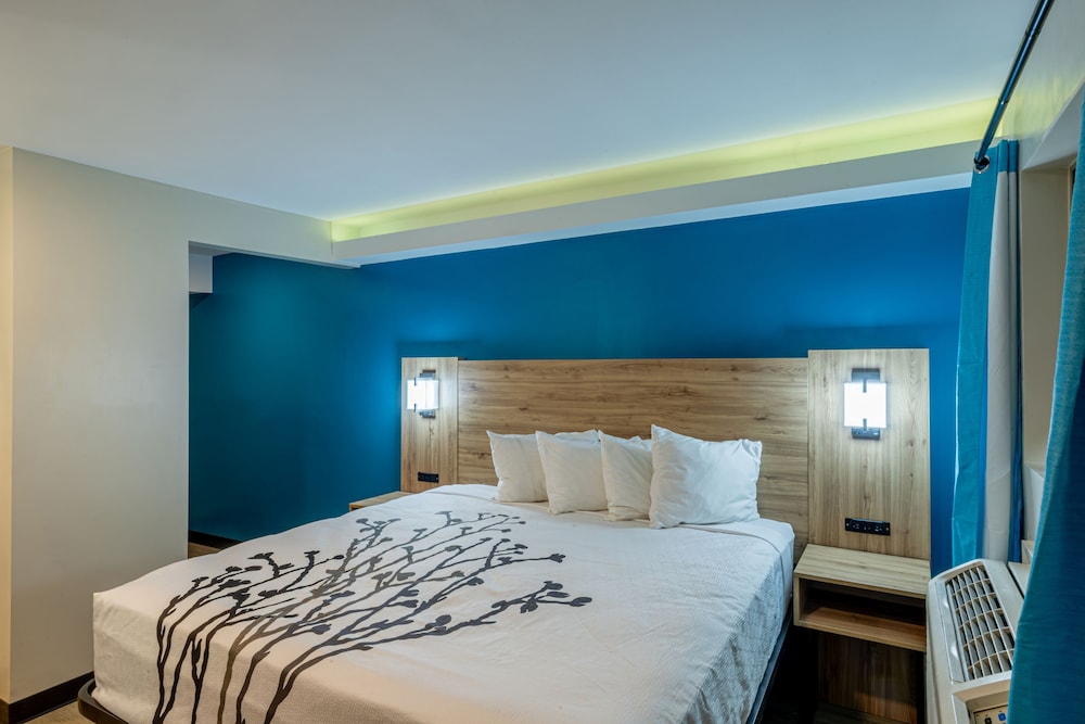 Exclusive Double Room