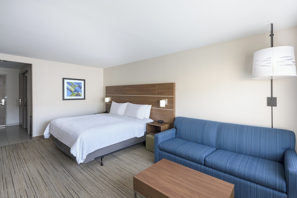 Suite, 1 King Bed, Accessible (Mobility, Roll-In Shower) - Photo 4