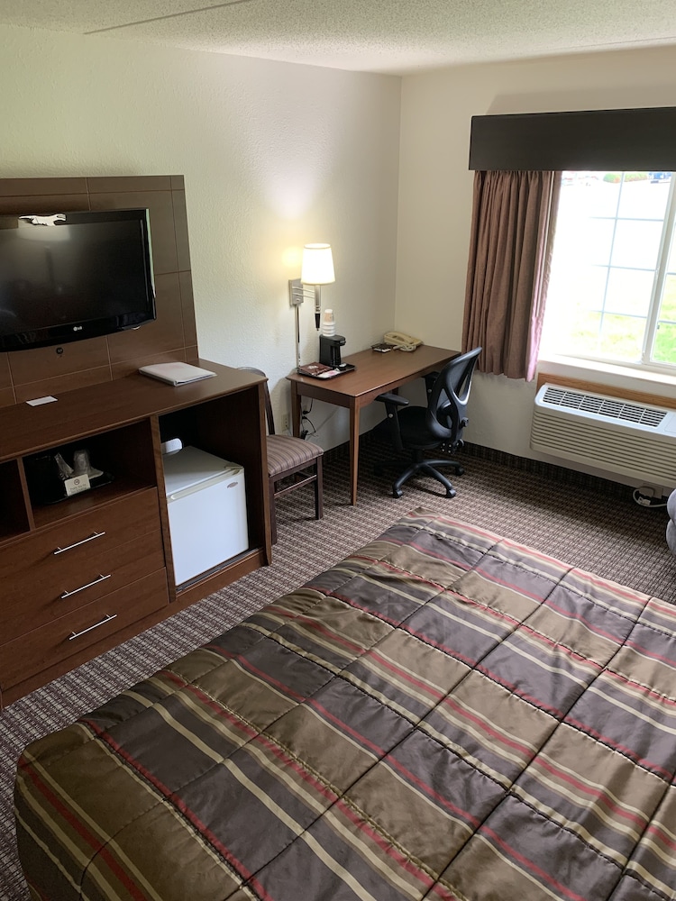 Junior Room, 1 King Bed, Refrigerator & Microwave photo 1