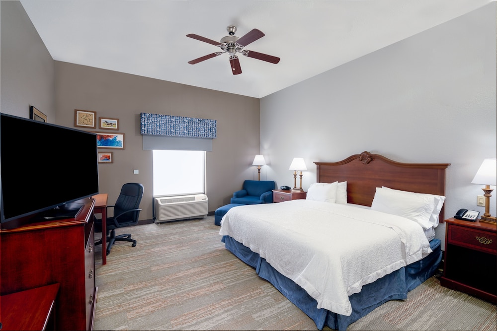 Room, 1 King Bed, Accessible (Roll-In Shower) - Photo 2