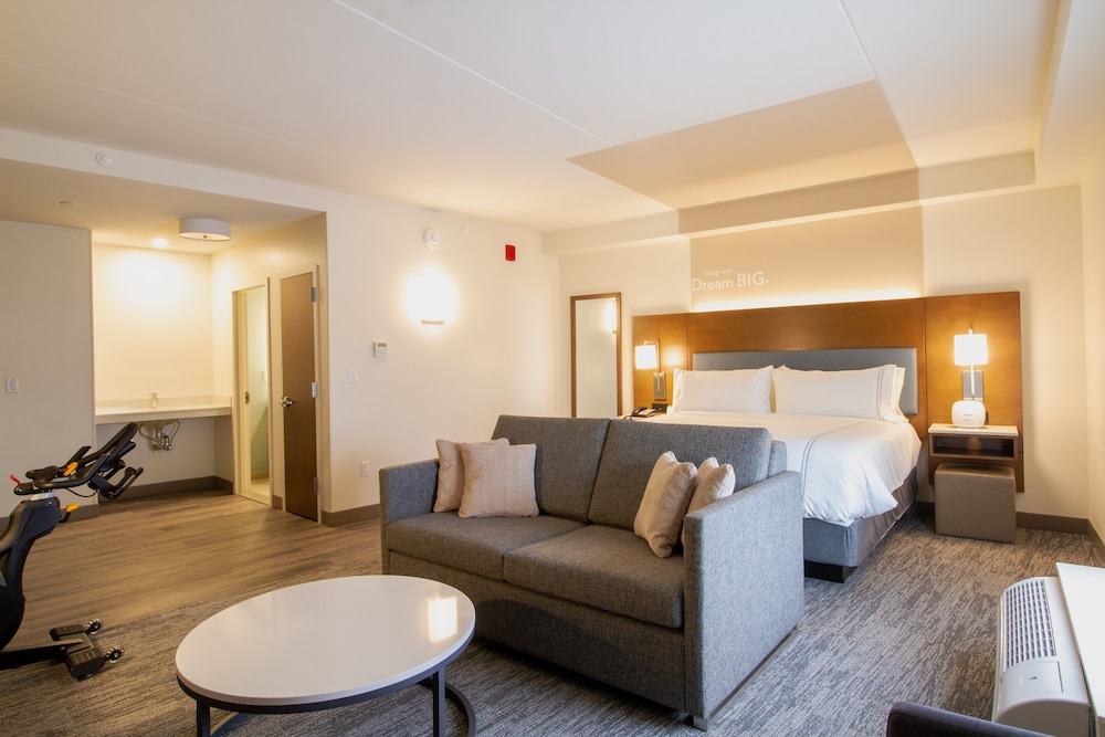 Suite, 1 King Bed, Roll-in Shower (Communications Accessible) photo 3
