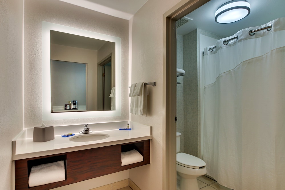 Suite, 1 King Bed with Sofa bed, Accessible (Communications, Roll-In Shower) - Photo 3