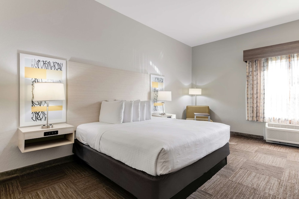 Standard Room, 1 King Bed, Accessible, Refrigerator & Microwave - Photo 1