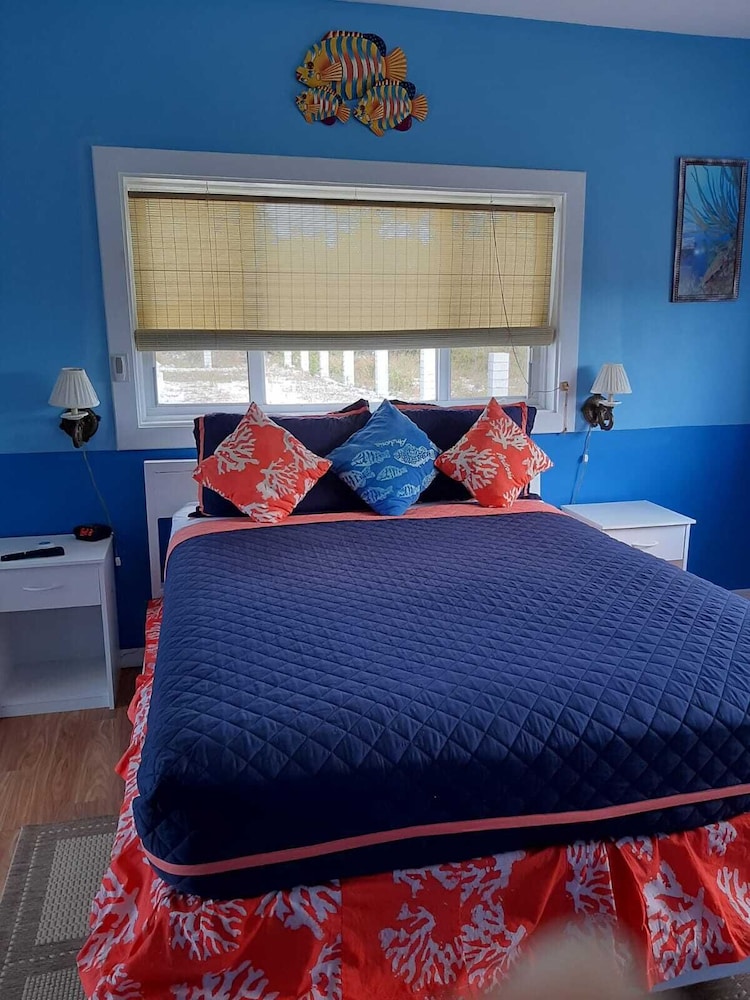Comfort Single Room, 1 Bedroom photo 1