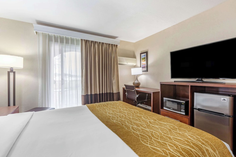 Room, 1 Queen Bed, Non Smoking photo 3