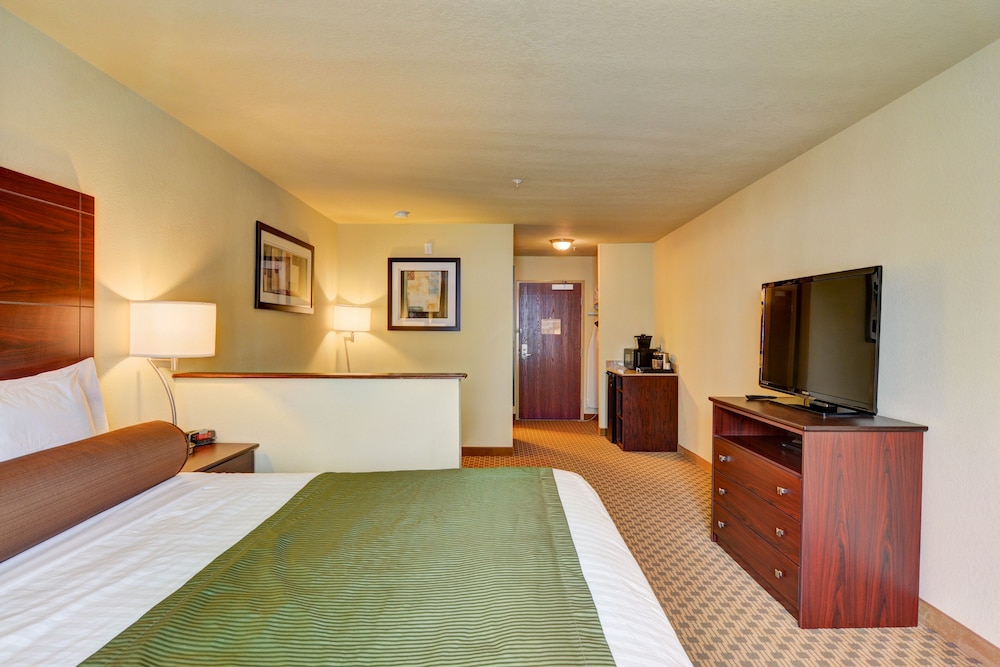 Deluxe Studio Suite photo 2