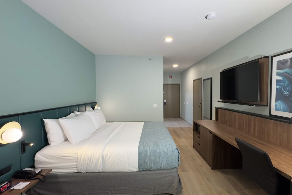 Room, 1 King Bed, Mobility Accessible, Non Smoking (Hearing, Roll-in Shower) photo 3