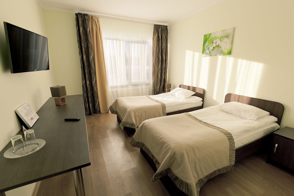 Standard Double or Twin Room (Edelweiss building)