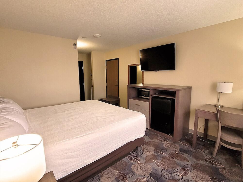 Room, 1 King Bed (Stardust) photo 1