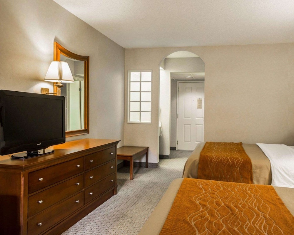 Standard Double Room, 2 Double Beds, Smoking - Photo 3