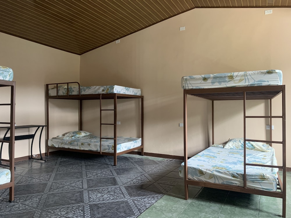 Basic Shared Dormitory photo 1