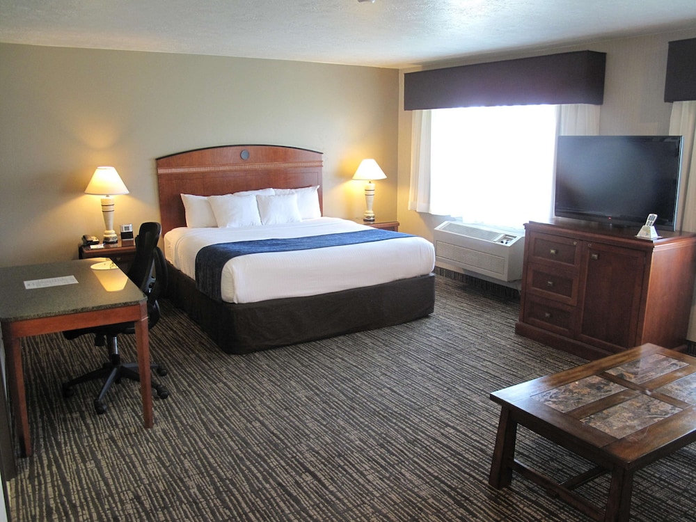Executive Room, 1 King Bed, Non Smoking, Refrigerator & Microwave (With Sofabed) - Photo 1