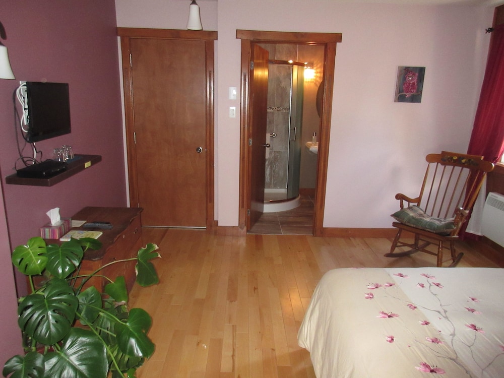 Classic Room, 1 Queen Bed photo 3