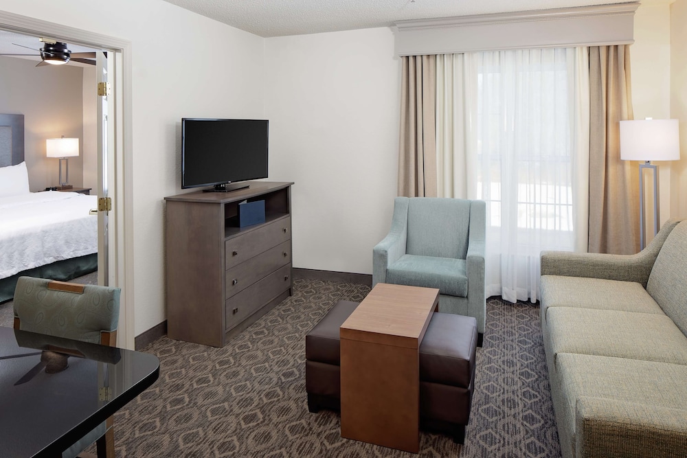 Room, 1 King Bed, Non Smoking (Homewood) - Photo 3
