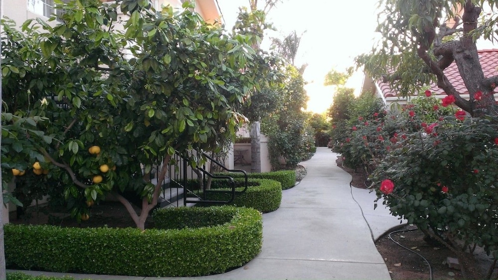 Room, Accessible photo 3