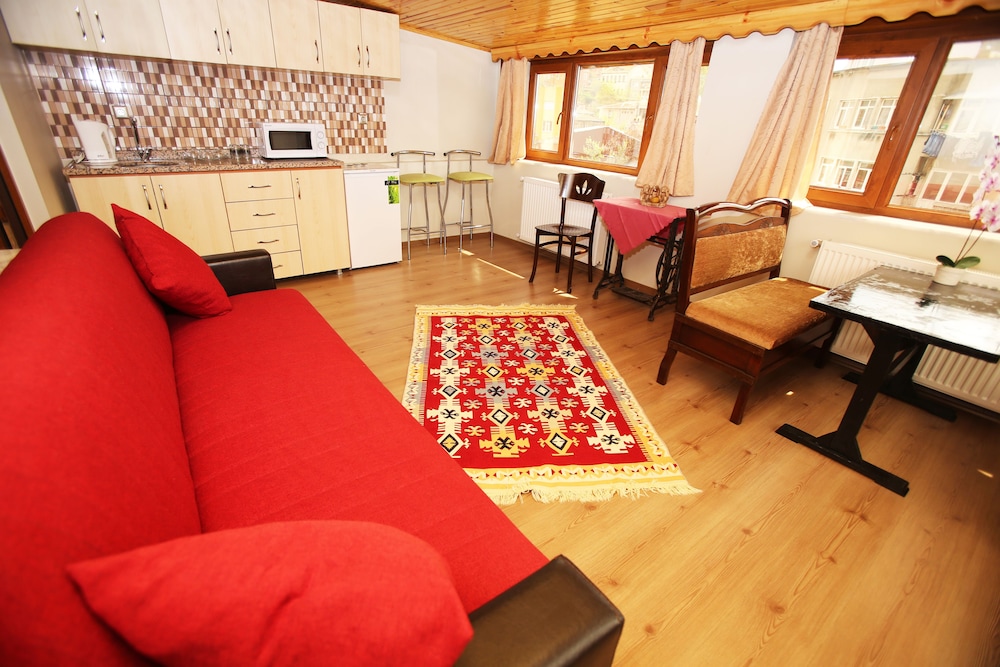 Superior Apartment, Multiple Beds, Refrigerator photo 2