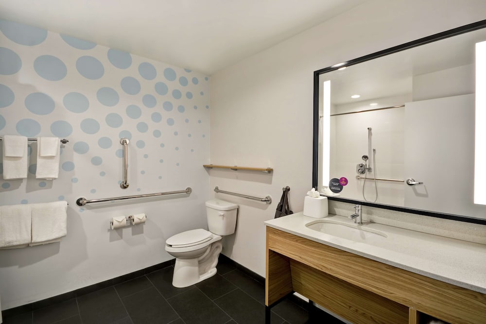 Room, 1 King Bed, Accessible (Roll-In Shower, Mobility & Hearing)