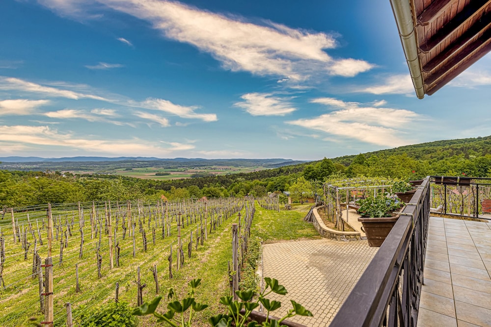 Standard House, Multiple Bedrooms, 2 Bathrooms, Mountainside (Vineyard Homestead Vrtin) photo 2