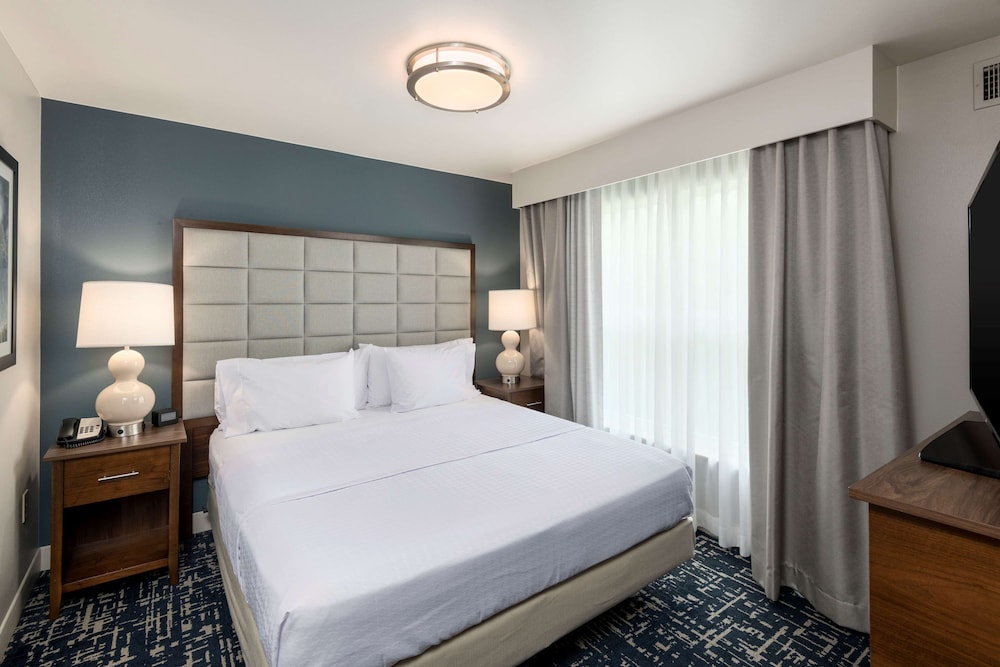 Suite, 1 King Bed, Accessible, Non Smoking (Roll-in shower) - Photo 3