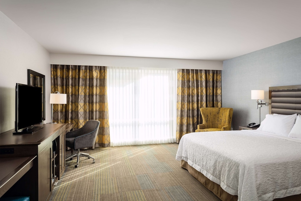 Room, 1 King Bed, Accessible (Roll-in Shower)