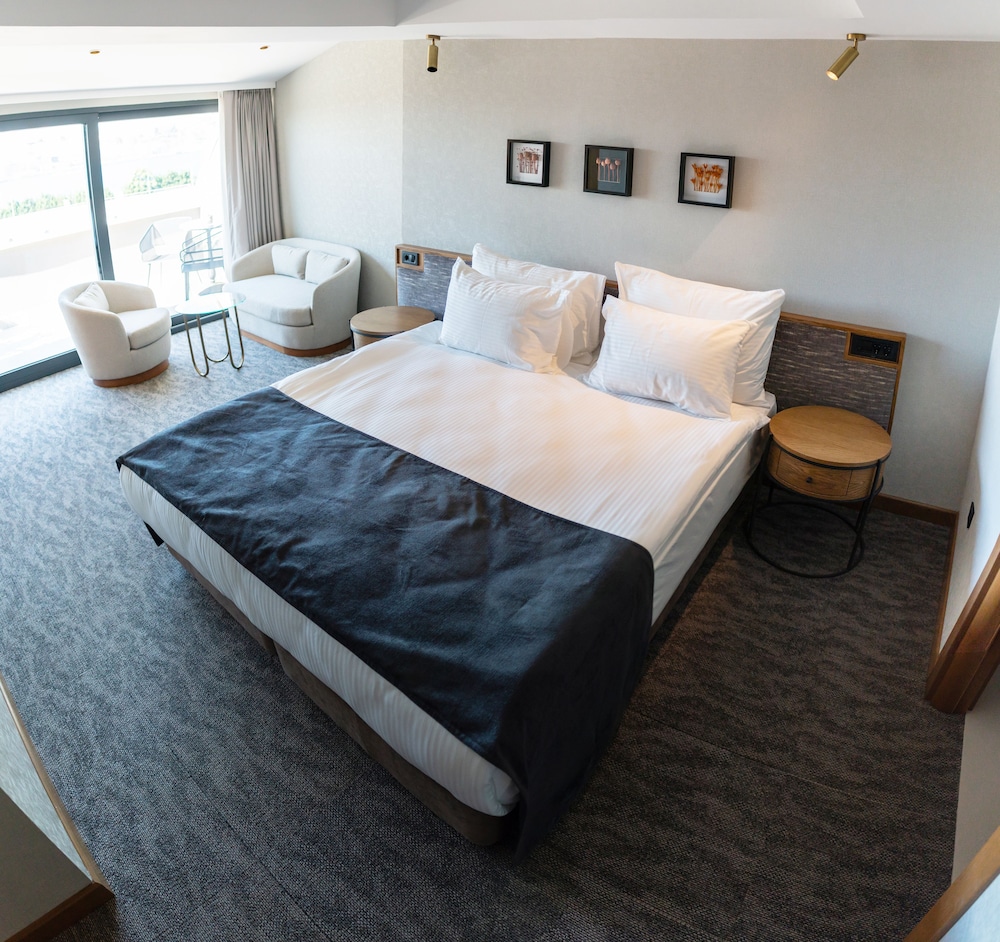 Deluxe Double or Twin Room photo 2