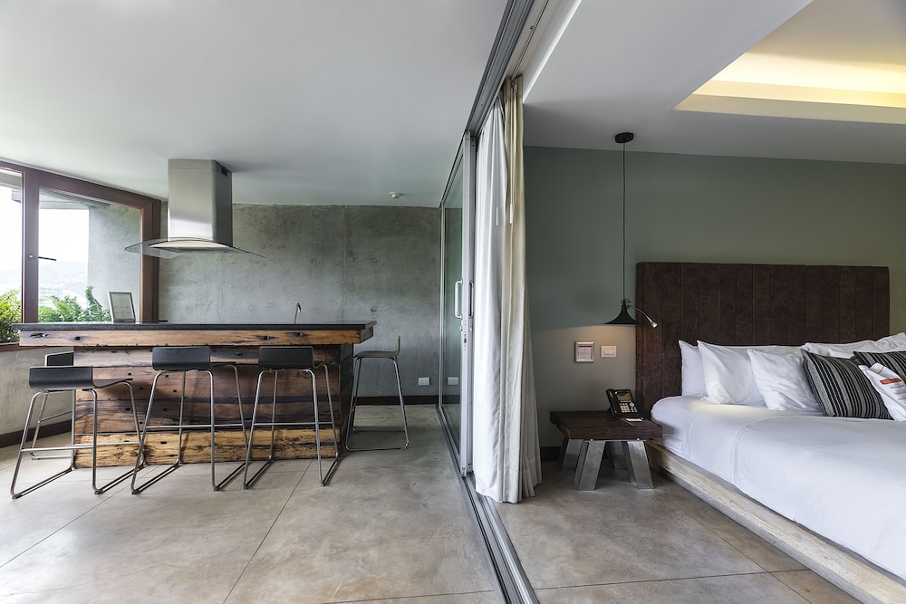 Suite, 1 King Bed, Park View - Photo 4