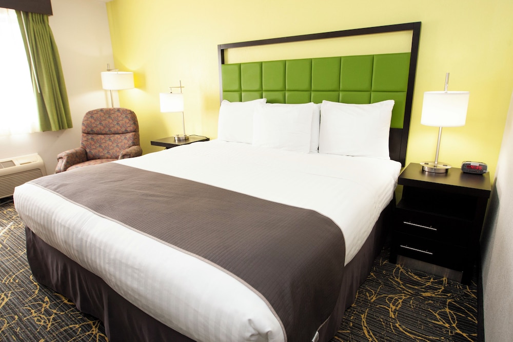 Room, 1 King Bed, Accessible, Non Smoking (Mobility,Tub w/Grab Bars) - Photo 6