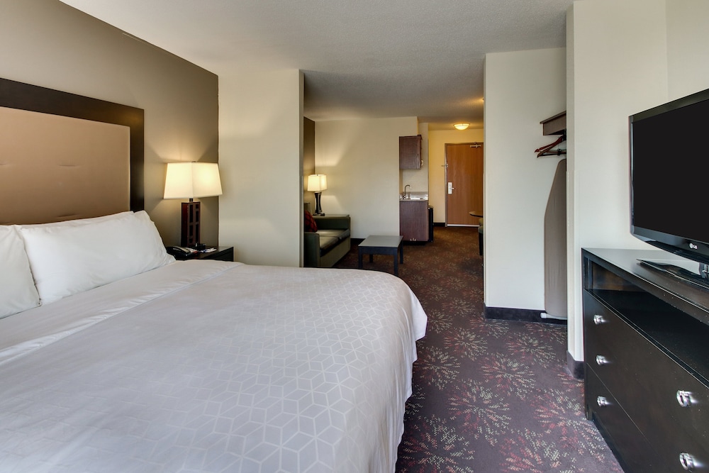 Suite, 1 King Bed with Sofa bed - Photo 1