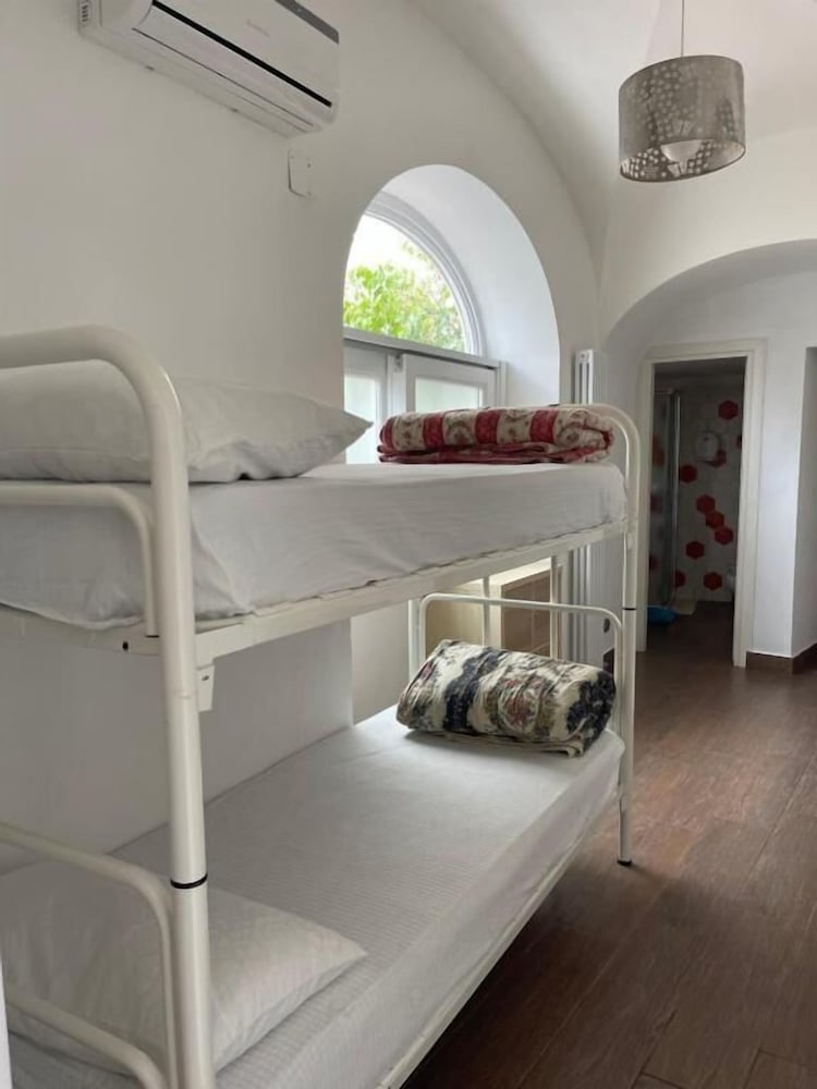 Premium Shared Dormitory, Mixed Dorm, Courtyard View