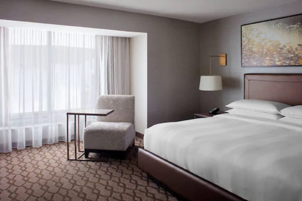 Room, 1 King Bed, City View