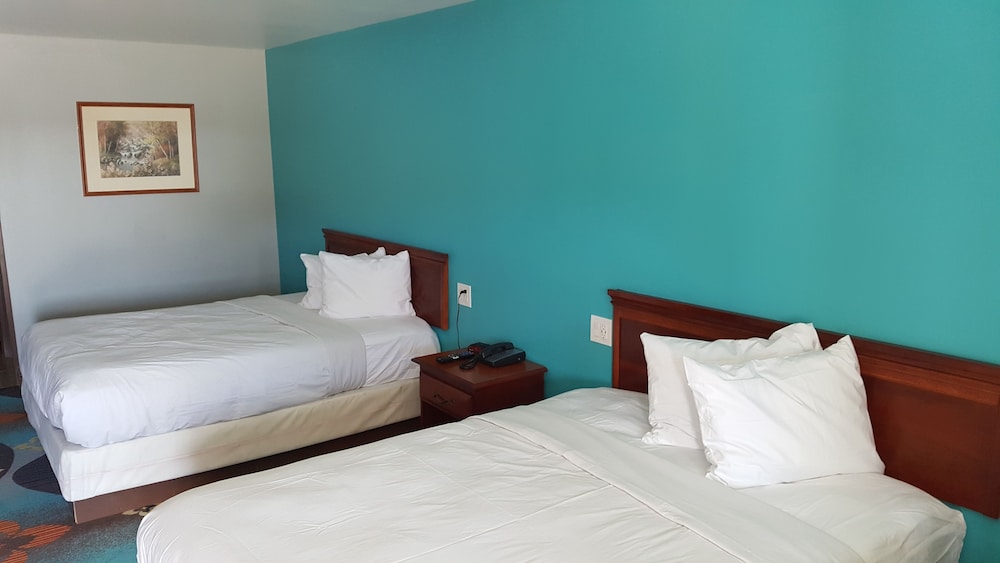 Deluxe Room, 2 Queen Beds photo 1