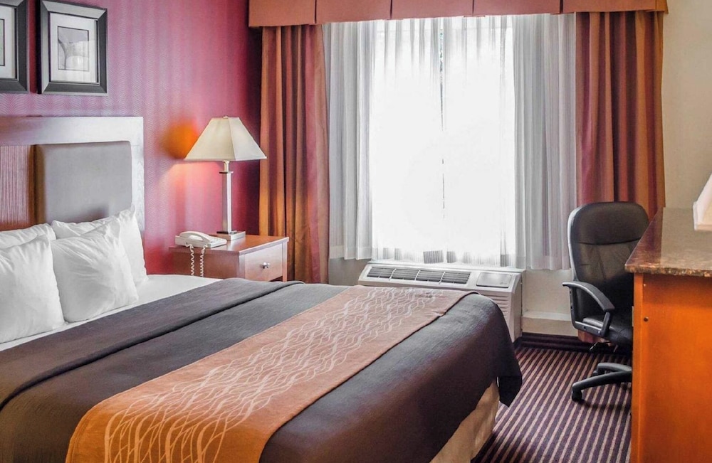 Standard Single Room photo 1
