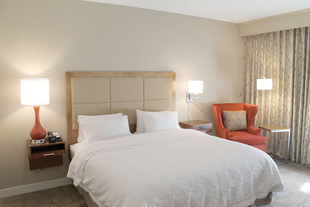 Room, 1 King Bed, Non Smoking, Refrigerator & Microwave