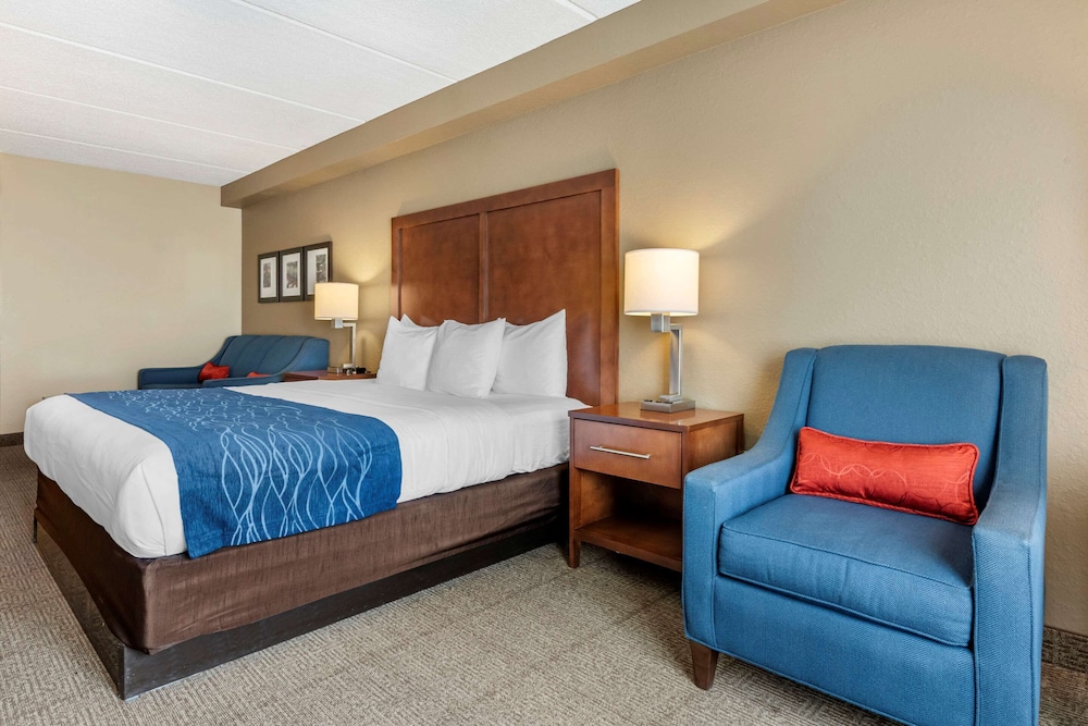 Suite, 1 King Bed, Non Smoking - Photo 3