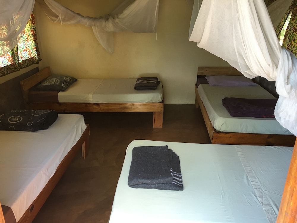 Basic Shared Dormitory, Mixed Dorm photo 3